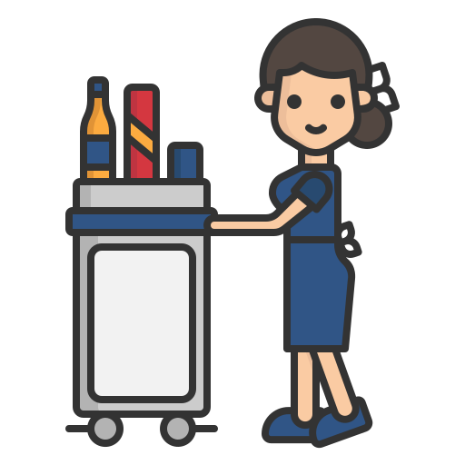 Cabin Crew Icon
